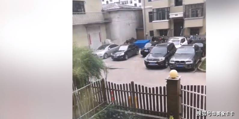 宝宝知识大全苹果版:爷爷一来，萌娃开始控制不住自己了，想要立刻到他怀里