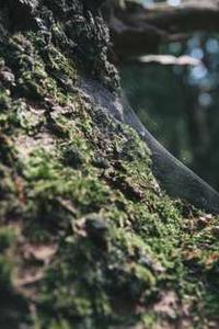 坏坏猫苹果版下载-第1张图片-太平洋在线下载 坏坏猫苹果版下载-第1张图片-太平洋在线下载