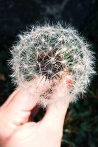 坏坏猫苹果版下载-第2张图片-太平洋在线下载 坏坏猫苹果版下载-第2张图片-太平洋在线下载