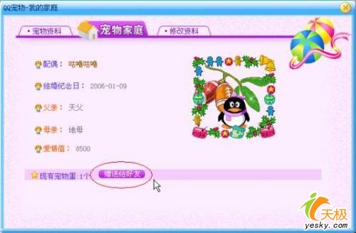 qq宠物客户端宠物客户端官方下载