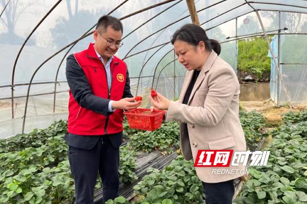 莓用手机相关新闻黑莓手机官网中国官网