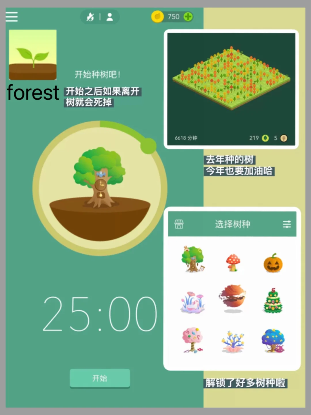 forestapp安卓版pinterestapp下载安卓