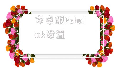 安卓版Echolink设置比亚迪dilink40下载地址