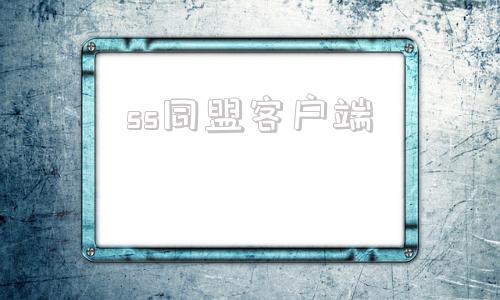 ss同盟客户端saas平台系统
