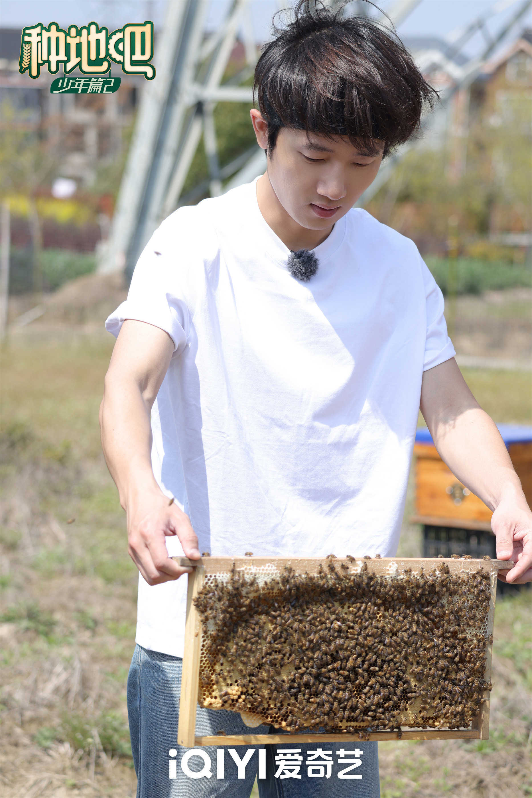 种地游戏苹果手机版游戏下载苹果下载安卓下载