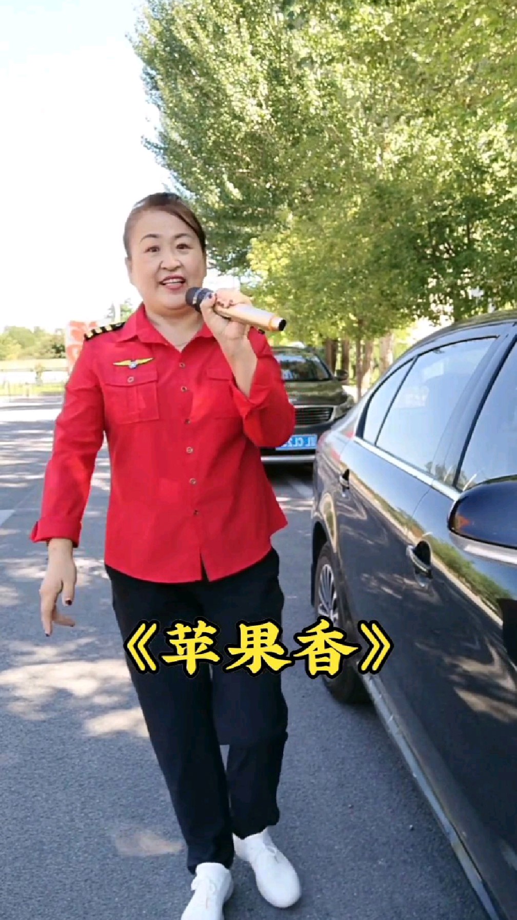 苹果香多人版唱苹果香丫蛋演唱-第2张图片-太平洋在线下载