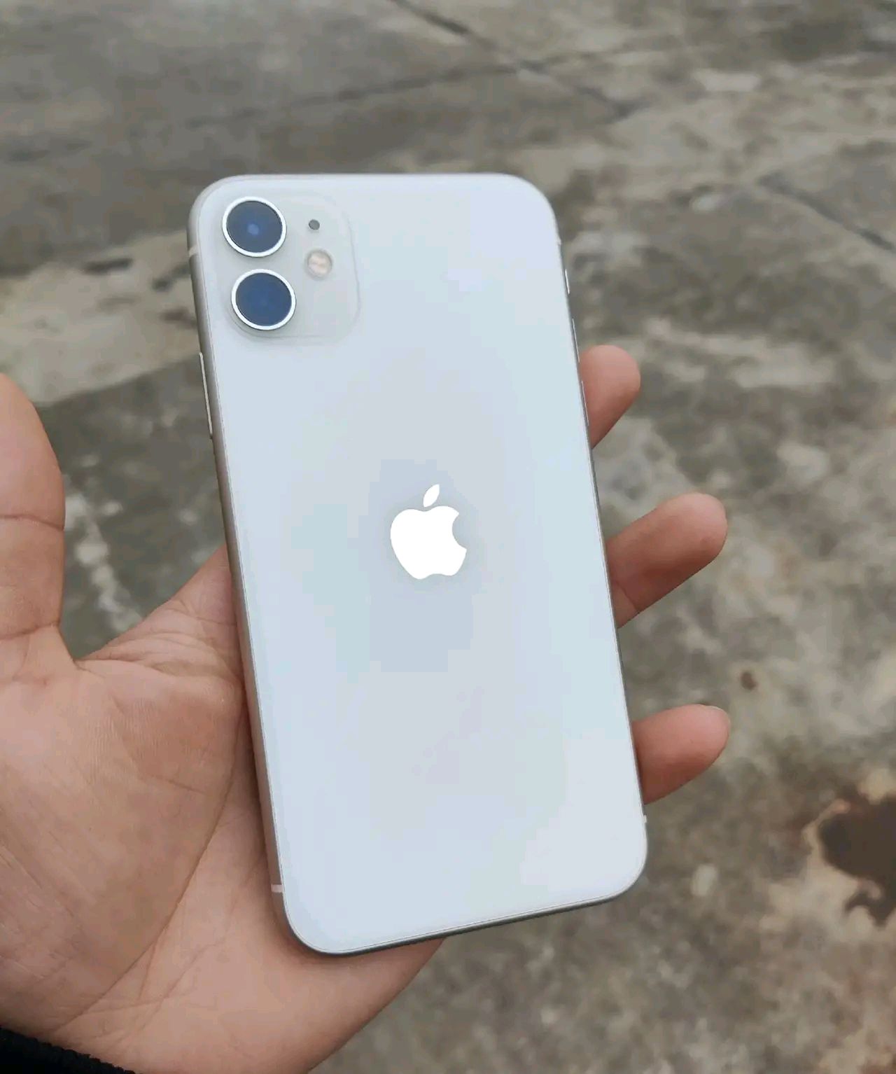 苹果11韩版信号(苹果11韩版信号不好)-第13张图片-有道翻译官网 苹果11韩版信号(苹果11韩版信号不好)-第13张图片-有道翻译官网