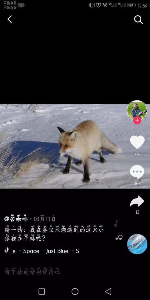 狐狸短视频苹果版(狐狸视频app软件苹果版)-第2张图片-有道翻译官网 狐狸短视频苹果版(狐狸视频app软件苹果版)-第2张图片-有道翻译官网