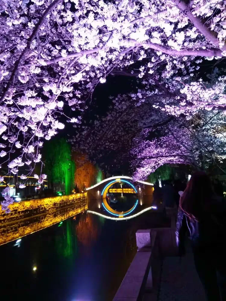 关于樱花夜色app苹果版的信息-第4张图片-有道翻译官网 关于樱花夜色app苹果版的信息-第4张图片-有道翻译官网